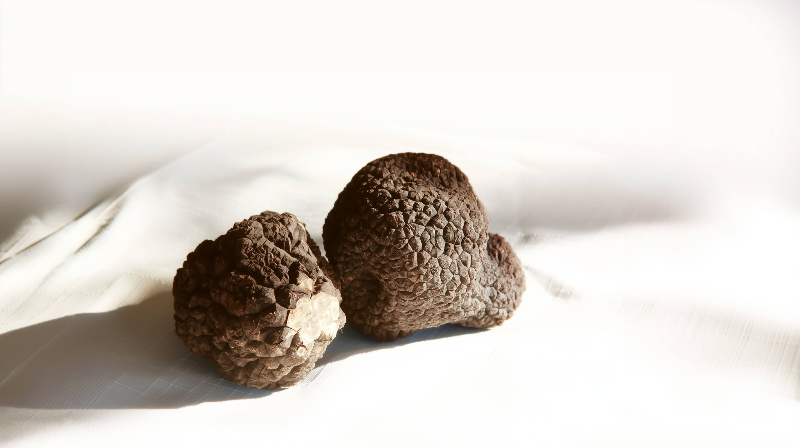 Trufa negra entera ecológica, Trufa negra entera y trufa en negra en trozos